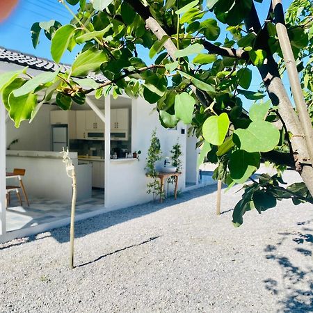 Airport Blue Eye Apartment Dalaman Best Location Also Suitable For Day Rentals Ideal For Air Travelers, 5 Km Close To Airport Exterior foto